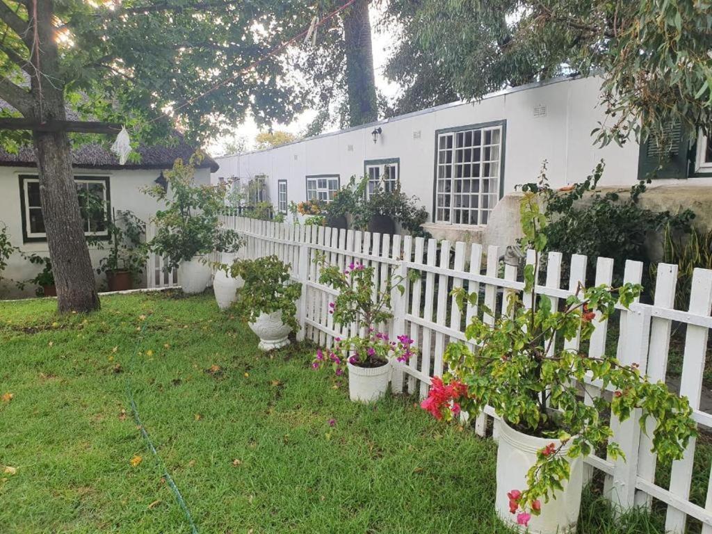 Meyerhof Cidade Do Cabo Exterior foto