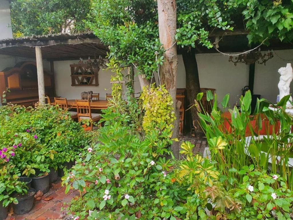 Meyerhof Cidade Do Cabo Exterior foto